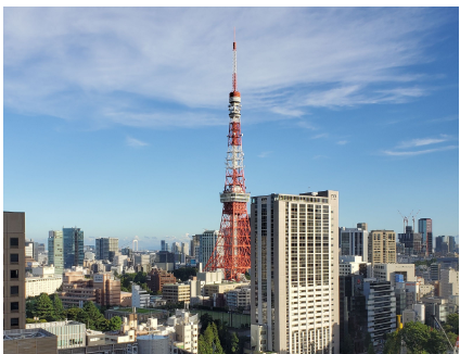 東京タワーが見えます